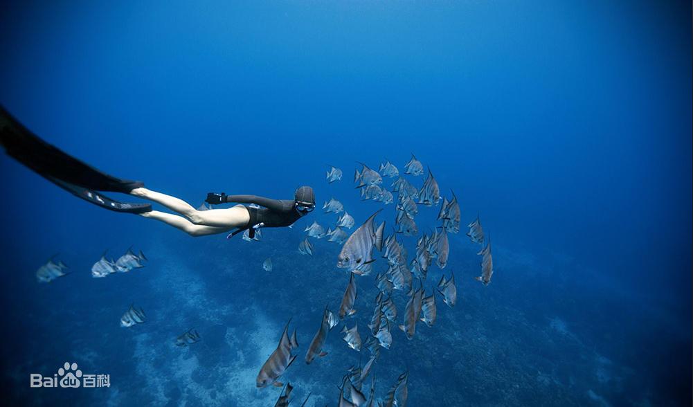 什么是“自由潜水”